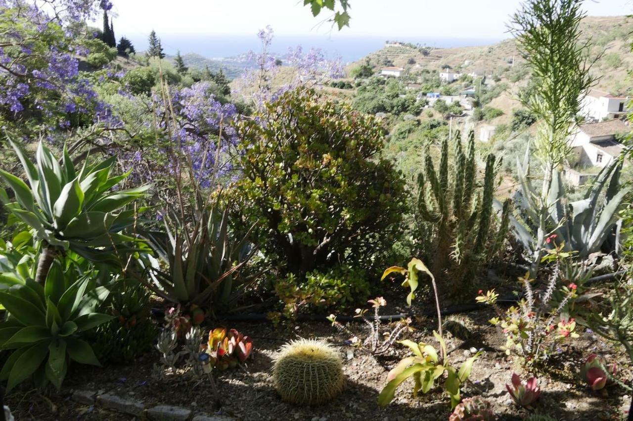 فيلا Cortijo El Abejaruco Almuñécar المظهر الخارجي الصورة